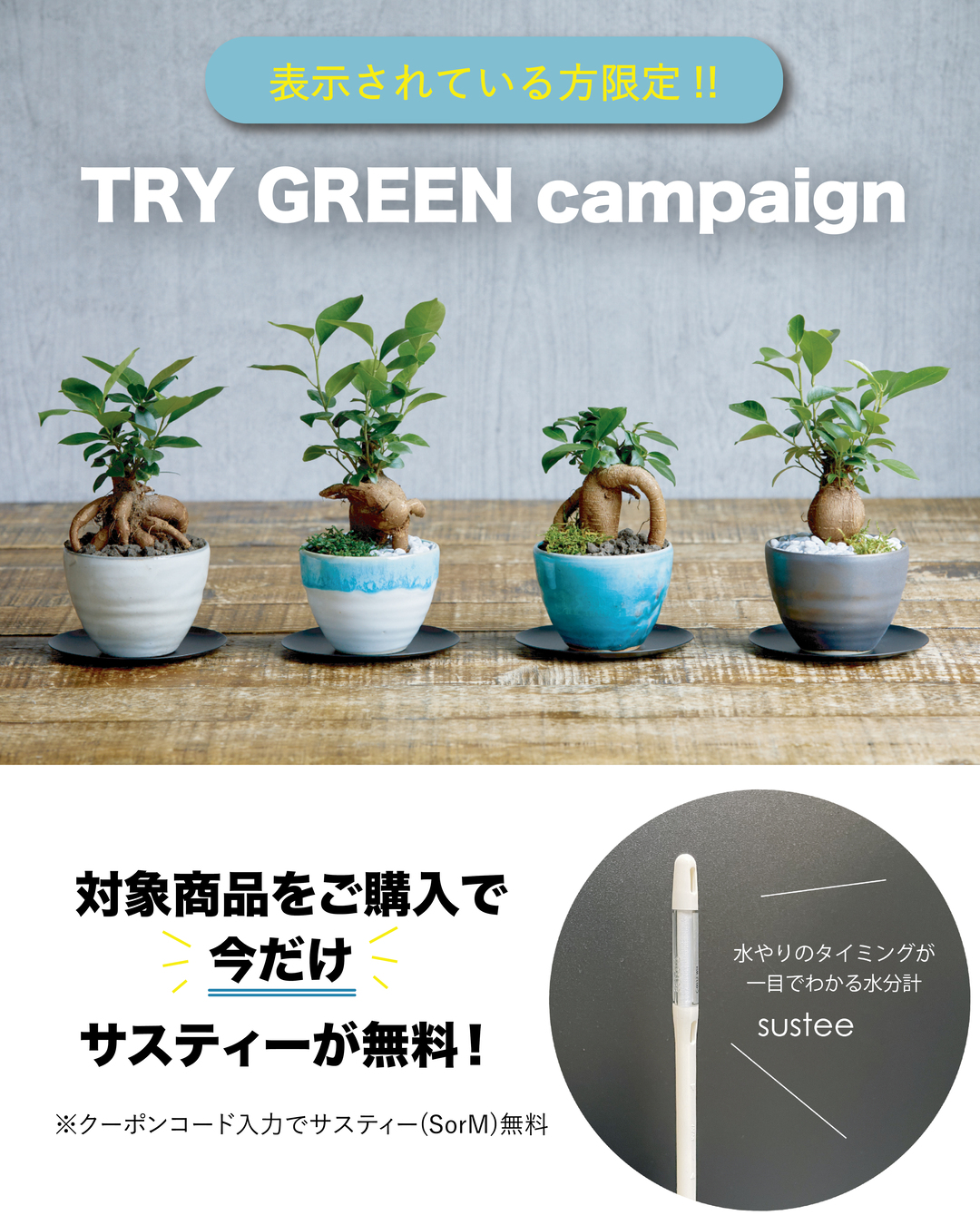 青山フラワーマーケット｜花束・ギフトのオンラインショップ