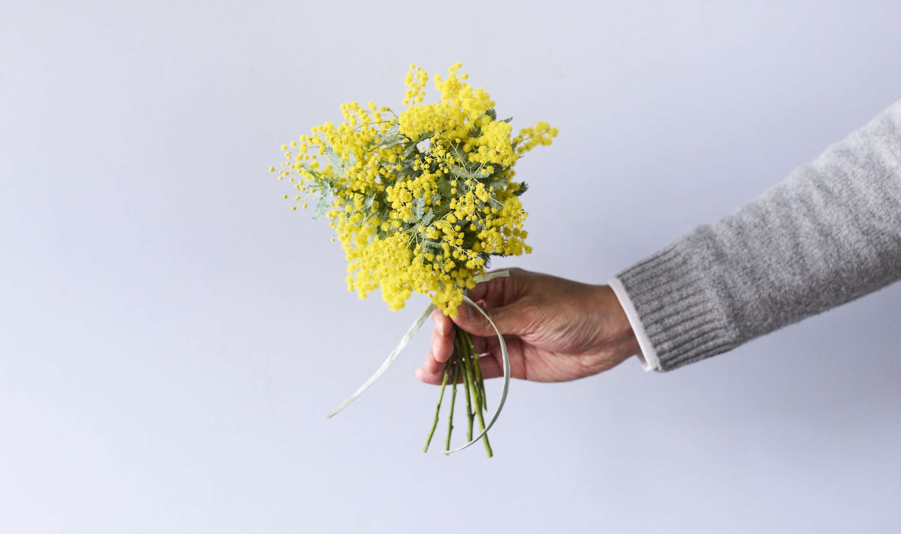 青山フラワーマーケット 19年ニュース 青山フラワーマーケット公式 花屋 花 花束 フラワーギフト 通販