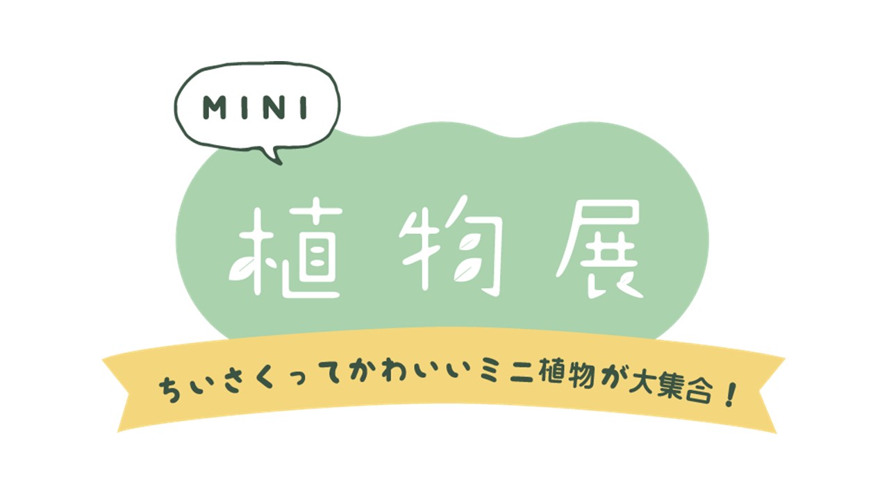 青山フラワーマーケット九州エリア店舗では“MINI植物展”に参加します