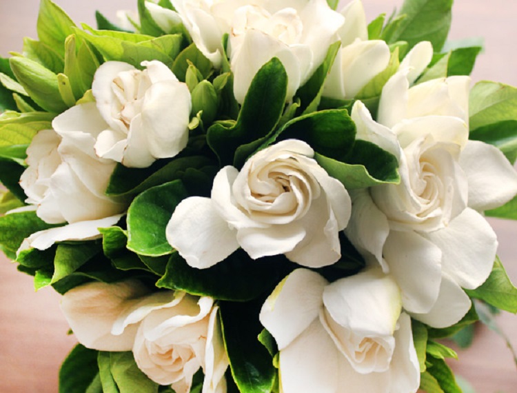 青山フラワーマーケット 19年ニュース 青山フラワーマーケット公式 花屋 花 花束 フラワーギフト 通販