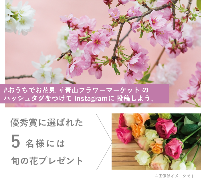 「#おうちでお花見」Instagramフォトコンテスト（~4/5）