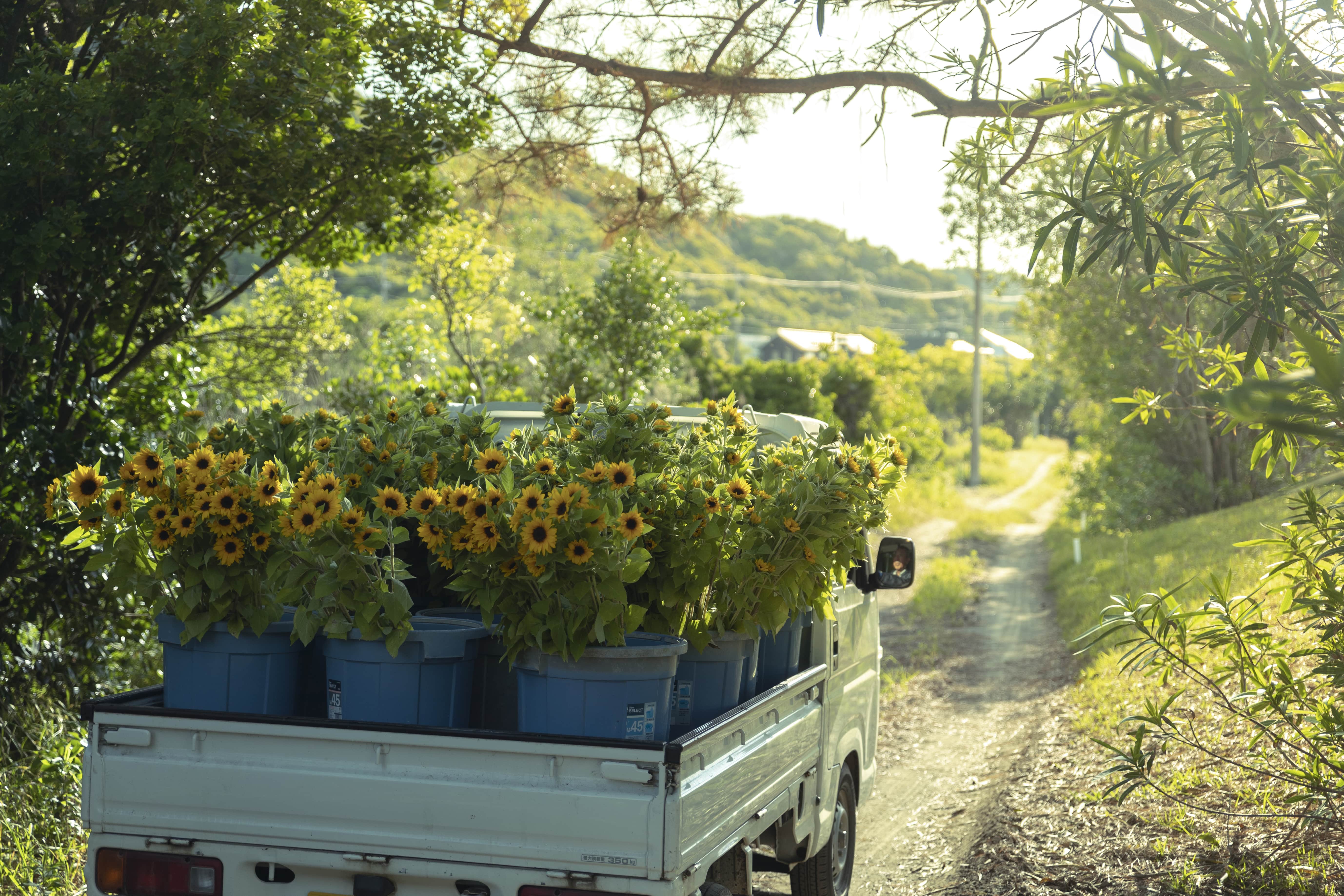 青山フラワーマーケット 年ニュース 青山フラワーマーケット公式 花屋 花 花束 フラワーギフト 通販