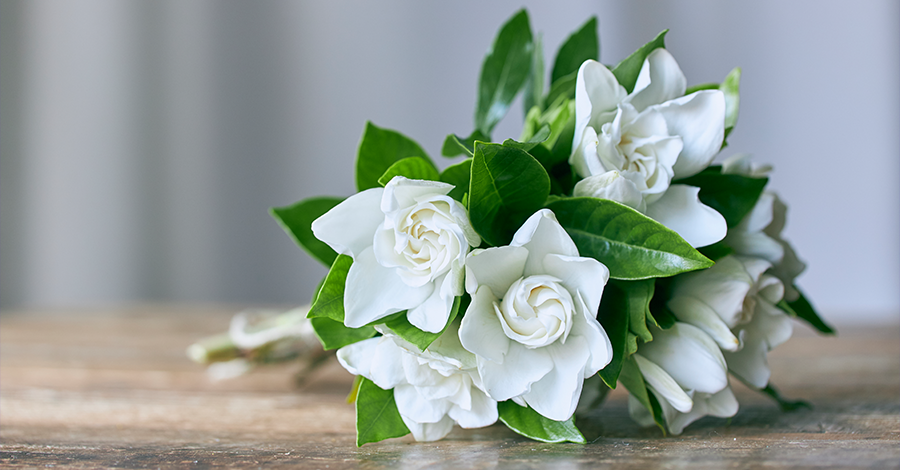 青山フラワーマーケット 21年ニュース 青山フラワーマーケット公式 花屋 花 花束 フラワーギフト 通販