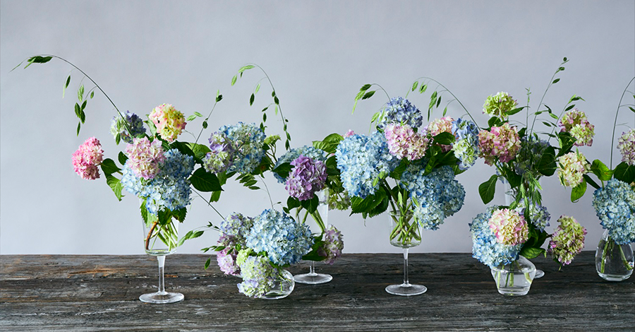 青山フラワーマーケット 21年ニュース 青山フラワーマーケット公式 花屋 花 花束 フラワーギフト 通販