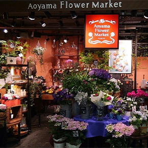 青山フラワーマーケット 全国の店舗情報 花屋 花 花束 フラワーギフト フラワーショップ
