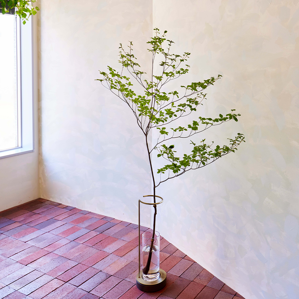 ニュース 花 花束 フラワーギフトの青山フラワーマーケット 全国の花屋 店舗情報 通販サイト 青山フラワーマーケット公式 花屋 花 花束 フラワーギフト 通販