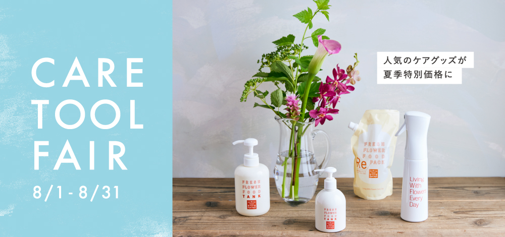 6tk6exkenfxw0m 6tk6exkenfxw0m