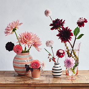 青山フラワーマーケット 全国の店舗情報 花屋 花 花束 フラワーギフト フラワーショップ