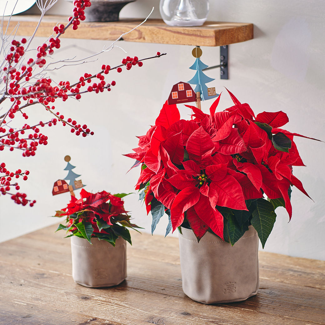 22新作モデル セラミックの小さな花瓶北欧の家の装飾 花瓶 北欧プラスチック花瓶クリエイティブ小さな新鮮な花瓶ホームデコレーション装飾品 Ciudaddelmaizslp Gob Mx
