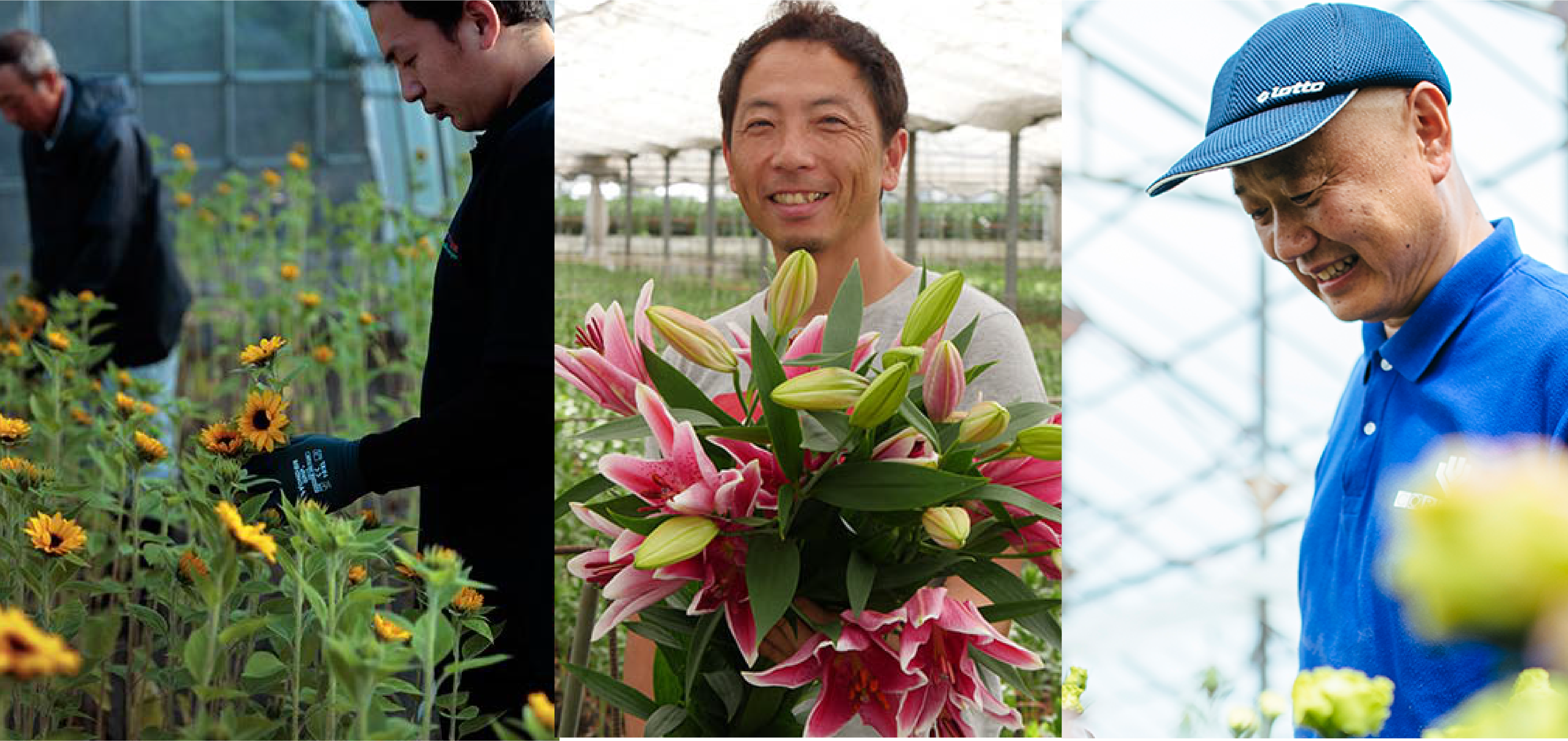 ニュース｜花・花束・フラワーギフトの青山フラワーマーケット 全国の花屋・店舗情報｜通販サイト 青山フラワーマーケット公式｜花屋｜花 花束 フラワー ギフト｜通販