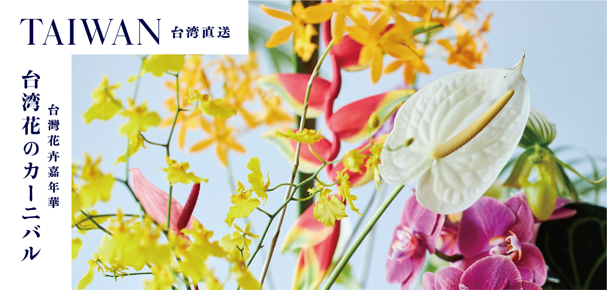 【フェア情報】台湾花のカーニバル