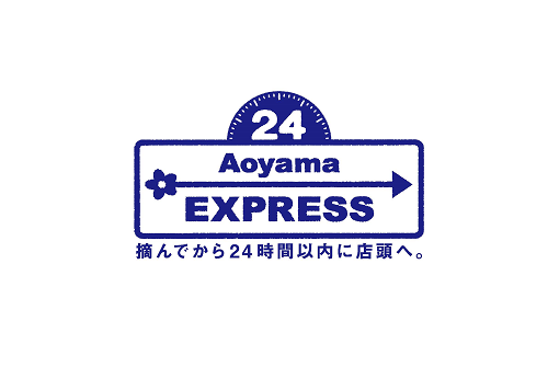 Aoyama EXPRESS
