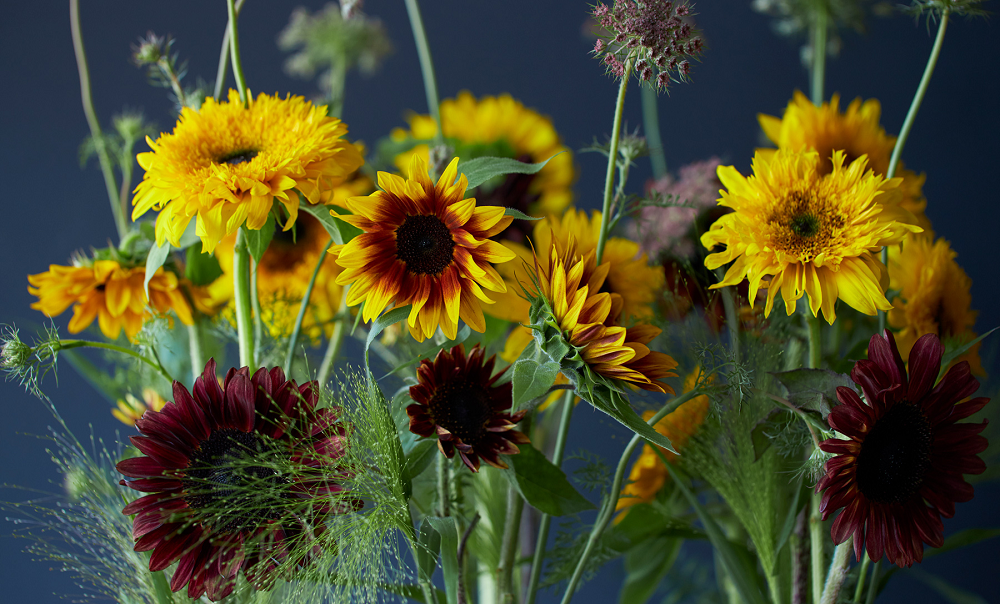 憧れの ガーデニング 花 植物 ＤＩＹ関連 丸みを帯びたフォルムが庭の草花を優しく演出