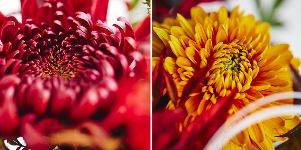 【真作】絵画　日本画10号　花　豊かで華やかな一瞬　温かみあふれる花々　U31 真作】絵画 日本画10号 花 豊かで華やかな一瞬 温かみあふれる花々