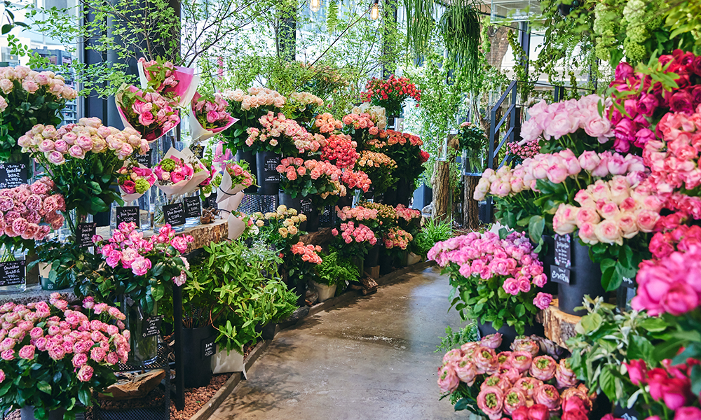 青山花祭