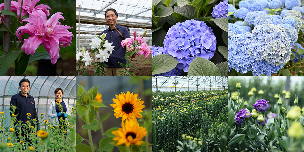 6月は「環境月間」/ 環境に配慮した花を栽培する生産者のフェアを開催します