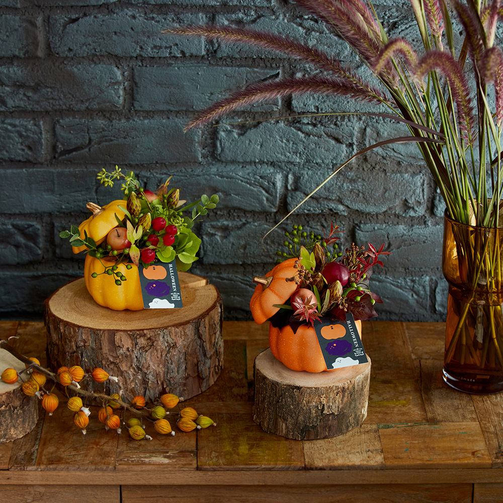 小さな魔女の秘密基地】ドライフラワー クリスマスツリー ハロウィン