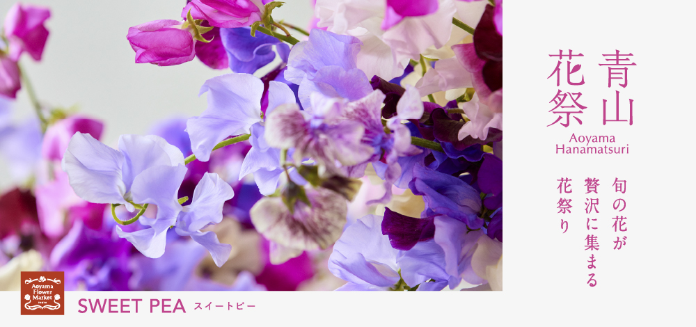 青山フラワーマーケット｜ニュース｜花・花束・フラワーギフトの青山 