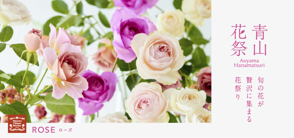 @【レア】クラシック雑貨 薔薇 パール ベルベット インテリア レア】クラシック雑貨 薔薇 パール ベルベット インテリア（薔薇