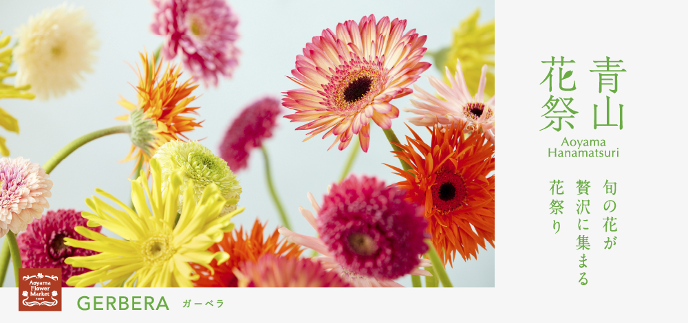 青山フラワーマーケット|全国の店舗情報 | 花屋 |花・花束 青山フラワーマーケット|全国の店舗情報 | 花屋 |花・花束