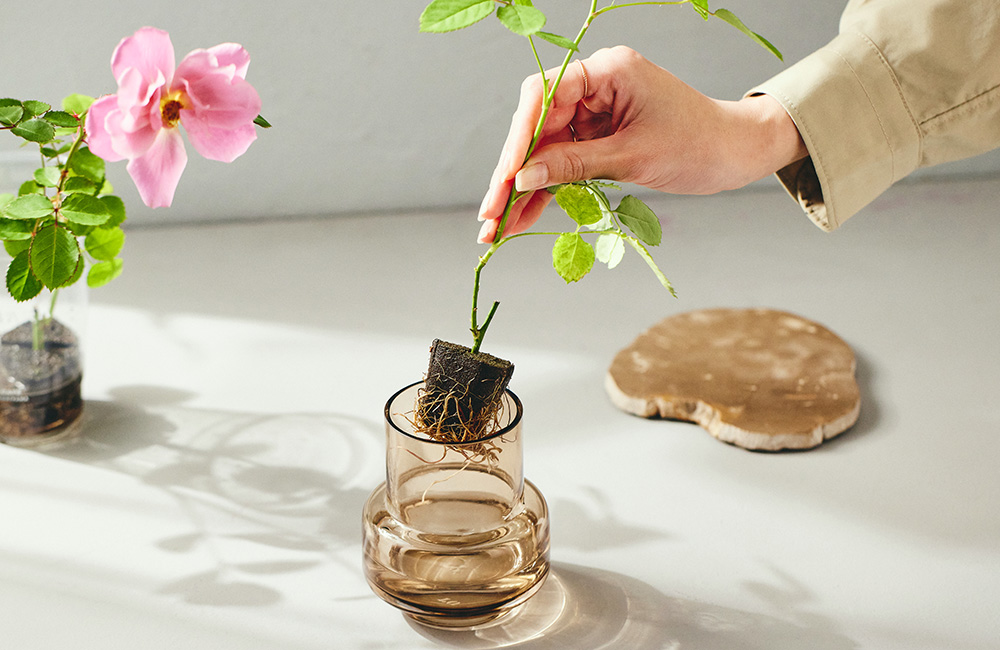 青山フラワーマーケット｜ニュース｜花・花束・フラワーギフトの青山