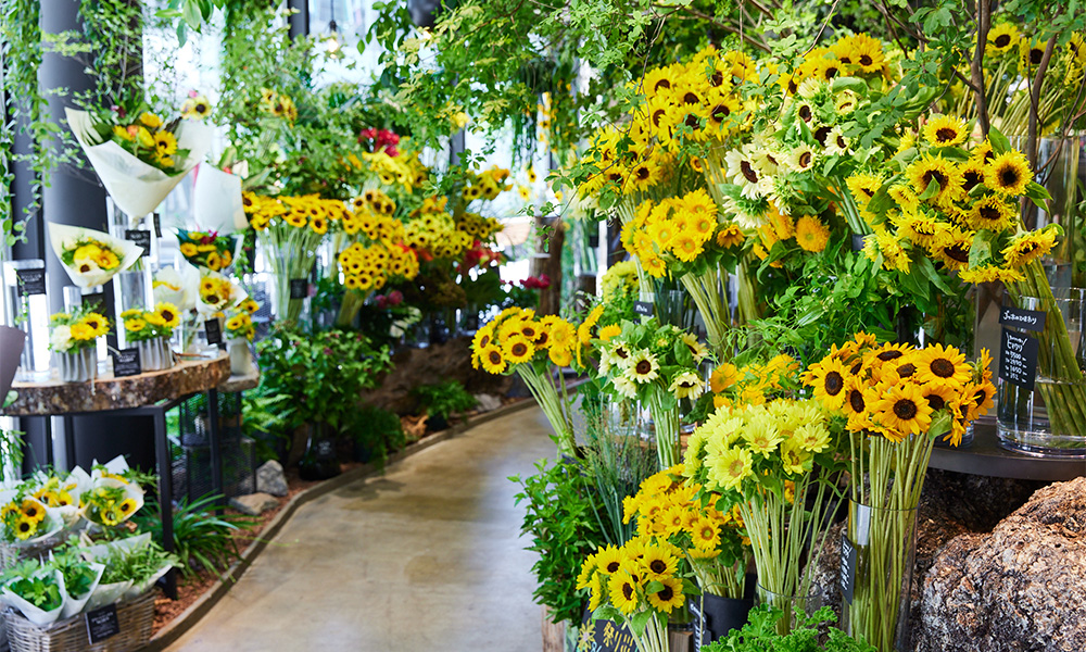 青山フラワーマーケット｜2025年ニュース | 青山フラワー