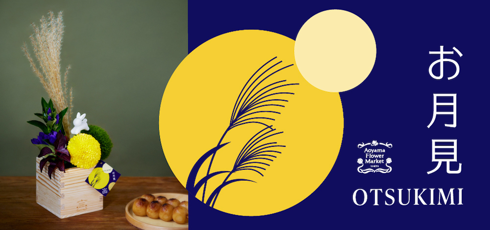 2024年もあと少し特別価格『とても極美品』万物創世龍 10000SE 20th