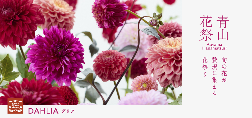 ダイフ 「春の花束」 レプリカ ゴールド額 ダイフ 「春の花束」 レプリカ ゴールド額 ダイフ「春の花束