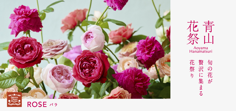 中国法書選　バラ１７巻（冊）分 バラ売り可 中国法書選 バラ17巻（冊）分 バラ売り可 中国法書選