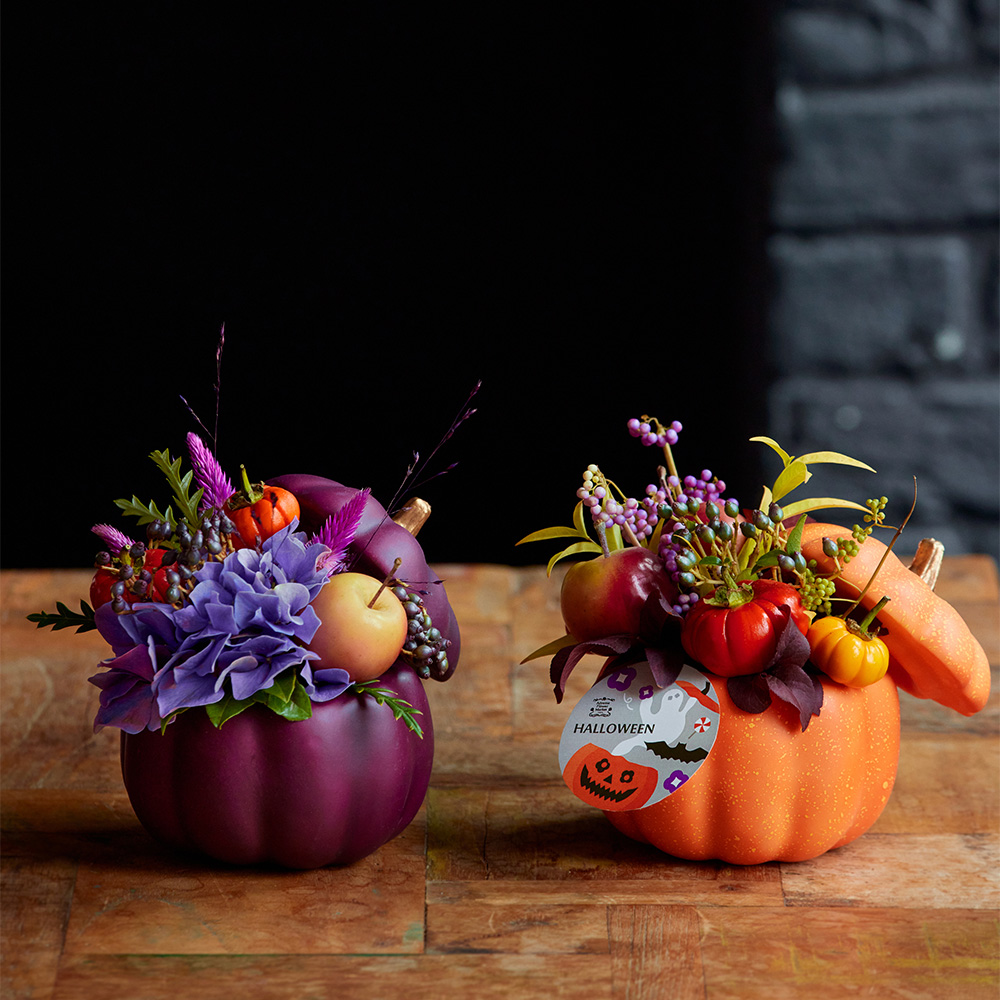 CURVE 01 9号・10号 2点セット 作家鉢 サイズ変更・オーダー受付中 CURVE 01 9号・10号 2点セット 作家鉢 サイズ変更・オーダー受付中