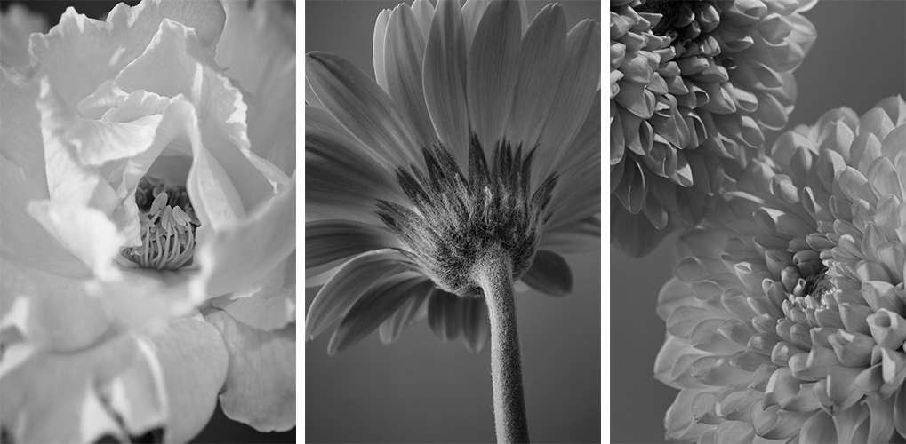 お値下げ済み即決価格✧　青山フラワー✧　エダベース✧ 試しのみの新品同様 青山フラワーマーケット/EDAベースL | 青山フラワーマーケット｜花束