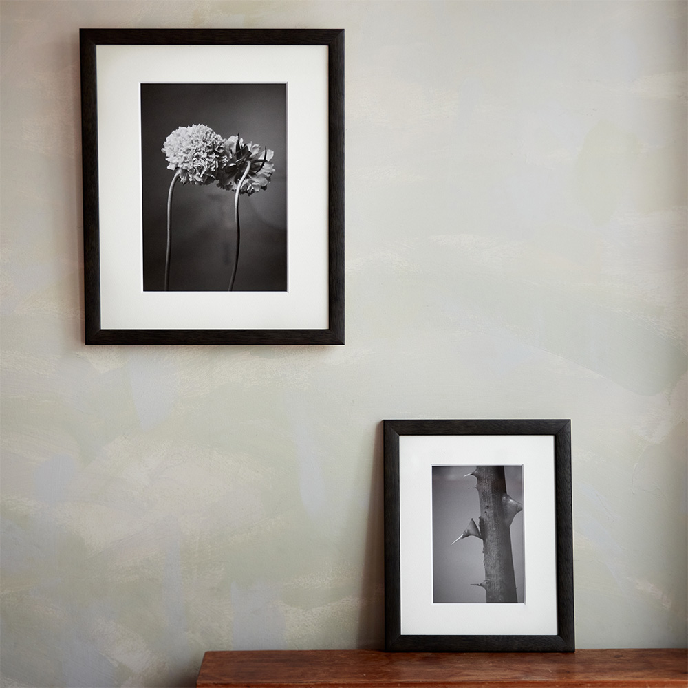 青山フラワーマーケット｜ニュース｜花・花束・フラワーギフトの青山