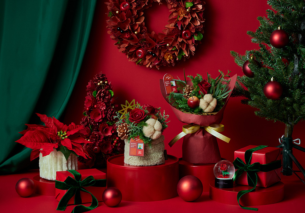 ☆希少新品種☆牡丹 №７２　 『冬の花火』 青山フラワーマーケット｜ニュース｜花・花束・フラワーギフトの青山