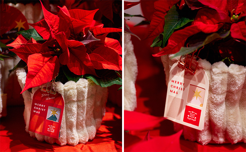 青山フラワーマーケット｜ニュース｜花・花束・フラワーギフトの青山