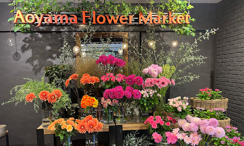 青山フラワーマーケット｜ニュース｜花・花束・フラワーギフトの青山