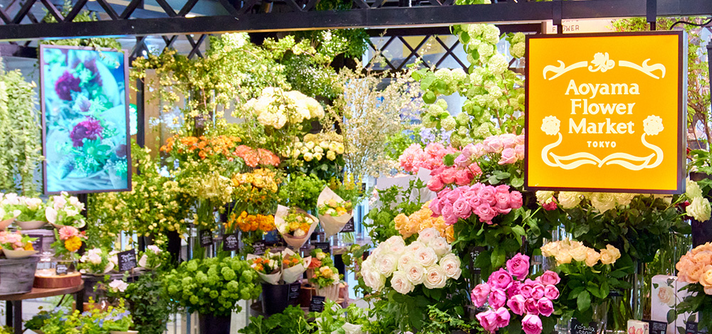 Mでお願いします同梱。花屋園芸店当店使用レジ袋処分その16 M様専用でお願いします同梱 花屋園芸店当店使用レジ袋