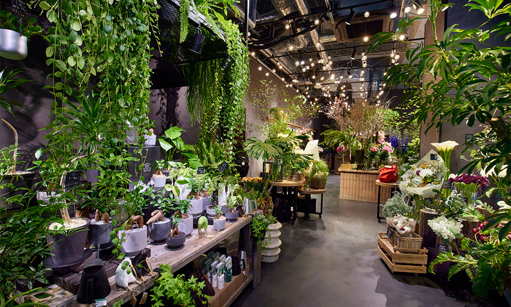 青山フラワーマーケット｜ニュース｜花・花束・フラワーギフトの青山 