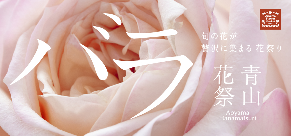 青山フラワーマーケット|ニュース|花・花束・フラワーギフトの 青山フラワーマーケット|ニュース|花・花束・フラワーギフトの