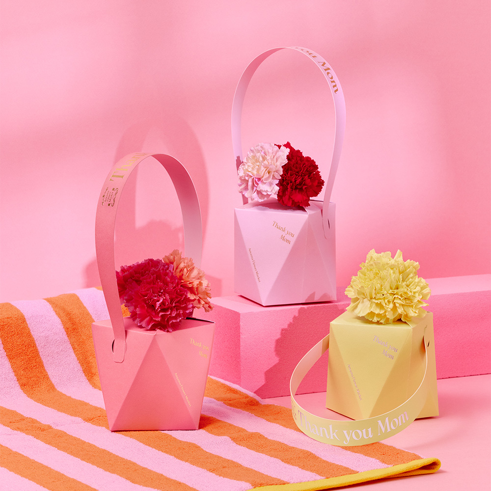 スリムキュット 1ケース (5個) バラ売りも可 【公式通販】