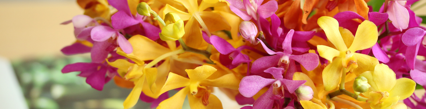 モカラ 青山フラワーマーケット公式 花屋 花 花束 フラワーギフト 通販