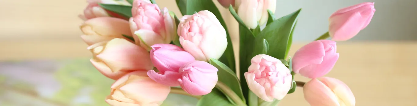 チューリップ | 青山フラワーマーケット | 青山フラワーマーケット