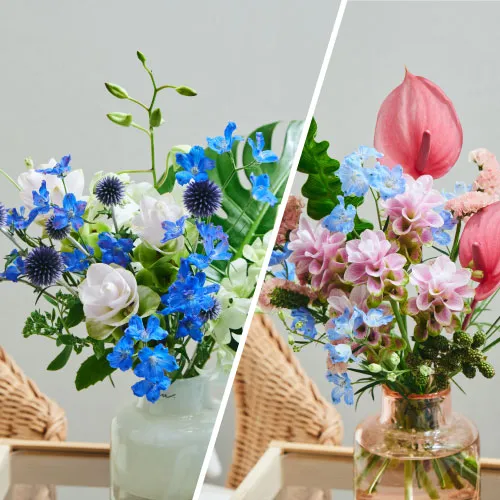 ご自宅用の花・花束・アレンジメント特集｜青山フラワーマーケット