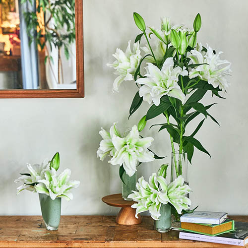 産直 エフ エフ ヒライデの八重オリエンタルリリー5本 ホワイト系 青山フラワーマーケット公式 花屋 花 花束 フラワーギフト 通販