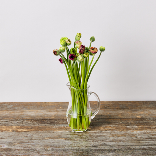ガーベラ 青山フラワーマーケット公式 花屋 花 花束 フラワーギフト 通販