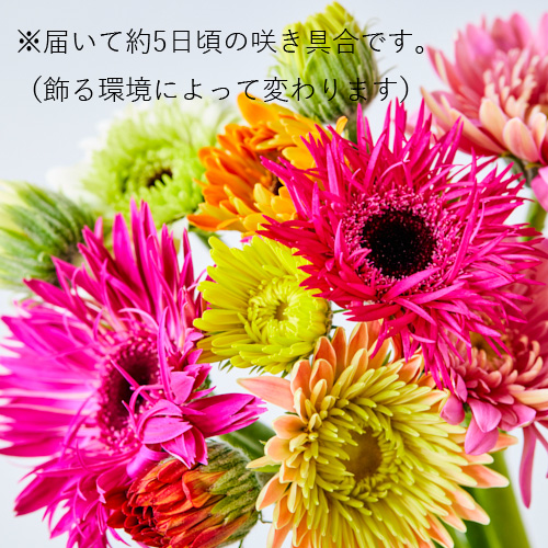 産地直送の花 青山フラワーマーケット公式 花屋 花 花束 フラワーギフト 通販