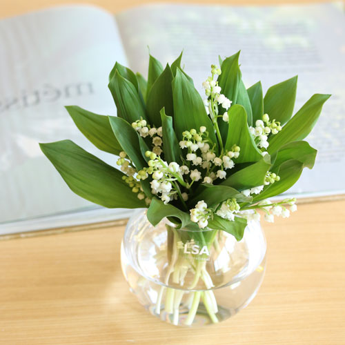 Weekly Fair 旬のスズラン本 青山フラワーマーケット公式 花屋 花 花束 フラワーギフト 通販