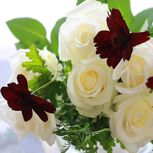Weekly Flower バレンタインに チョコレートコスモスと白バラ 青山フラワーマーケット公式 花屋 花 花束 フラワーギフト 通販