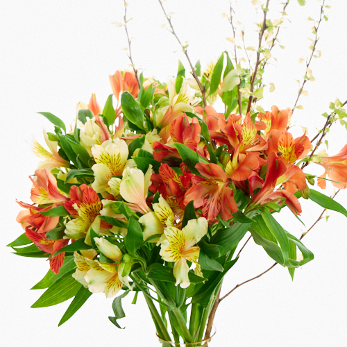 アルストロメリア 黄色オレンジ系 と季節のグリーン ベースセット 青山フラワーマーケット公式 花屋 花 花束 フラワーギフト 通販