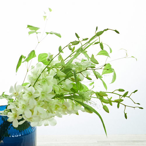 Weekly Fair デンファレ 白 ７本と季節のグリーン ベースセット 青山フラワーマーケット公式 花屋 花 花束 フラワーギフト 通販