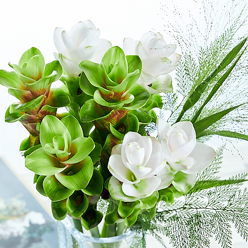 Season Curcumamix の検索結果 青山フラワーマーケット公式 花屋 花 花束 フラワーギフト 通販